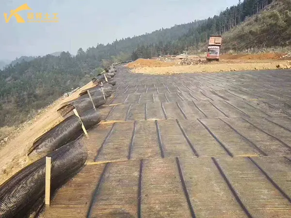 Biaxial Plastic Geogrid Slope Protection Engineering Application Biaxial Plastic Geogrid Slope Protection Engineering Application