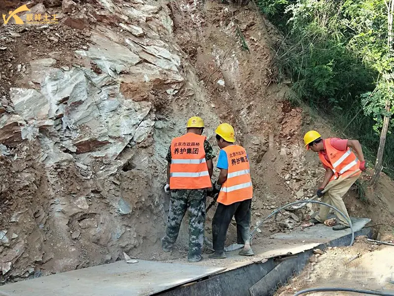 Basic Level Organization Basic Level Organization