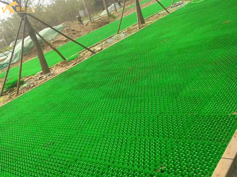 Construction Of Grass Grids For Parking Spaces Completed Construction Of Grass Grids For Parking Spaces Completed