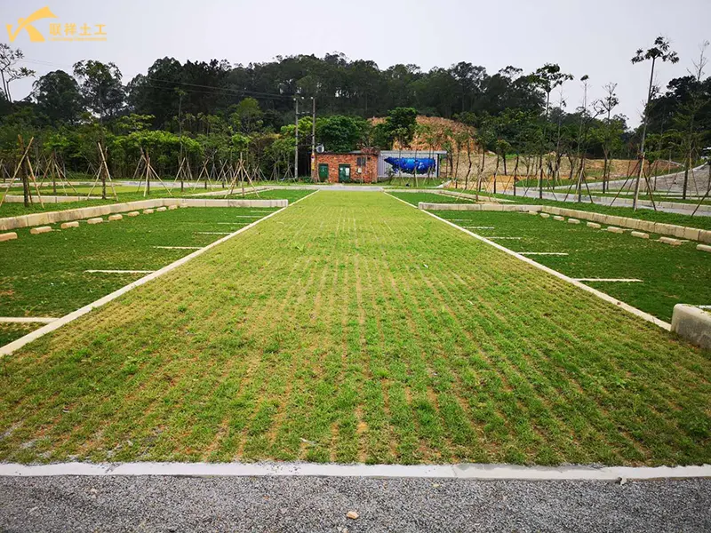 Parking Space Grass Grid In Use Parking Space Grass Grid In Use
