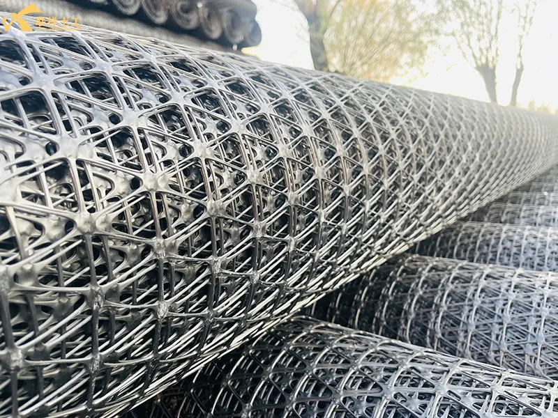 Three-Dimensional Plastic Geogrid Bulk Display Three-Dimensional Plastic Geogrid Bulk Display