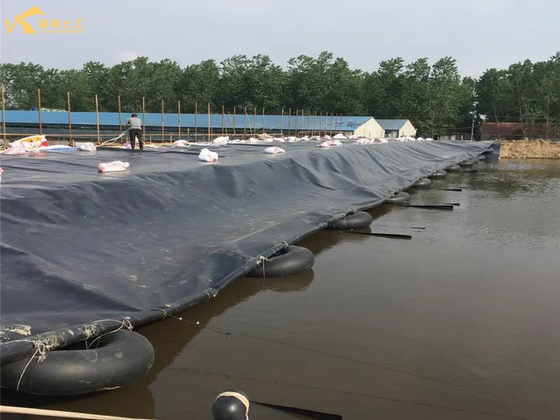 In Use of Geomembrane for Lotus Pond Aquaculture