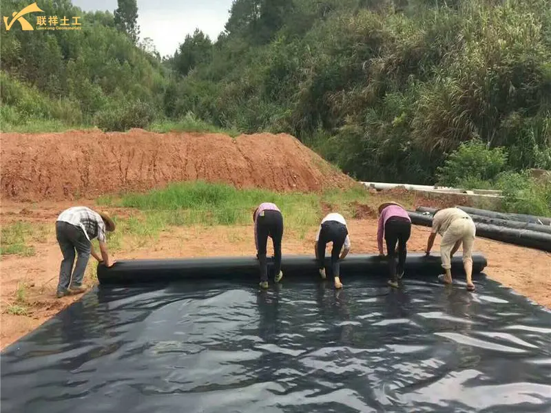 The Laying of the Seepage-Proof Membrane in the Lotus Pond Aquaculture Area Is Underway