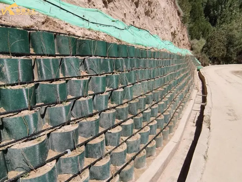 Geocell Slope Protection Project Geocell Slope Protection Project