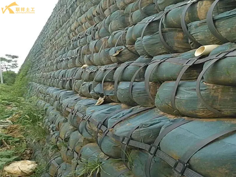 Steel-Plastic Geogrid Reinforced Retaining Wall Project