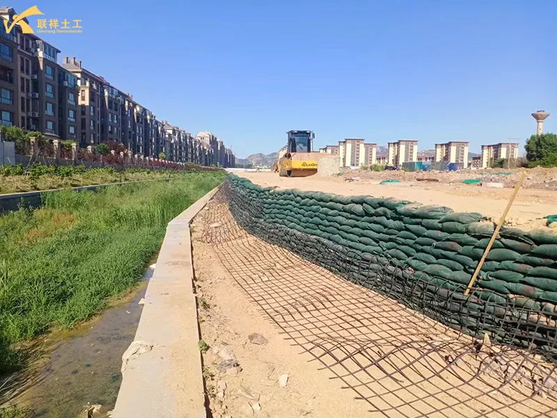 Steel-Plastic Geogrid Riverbank Protection Project